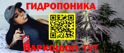 дмт Анапа