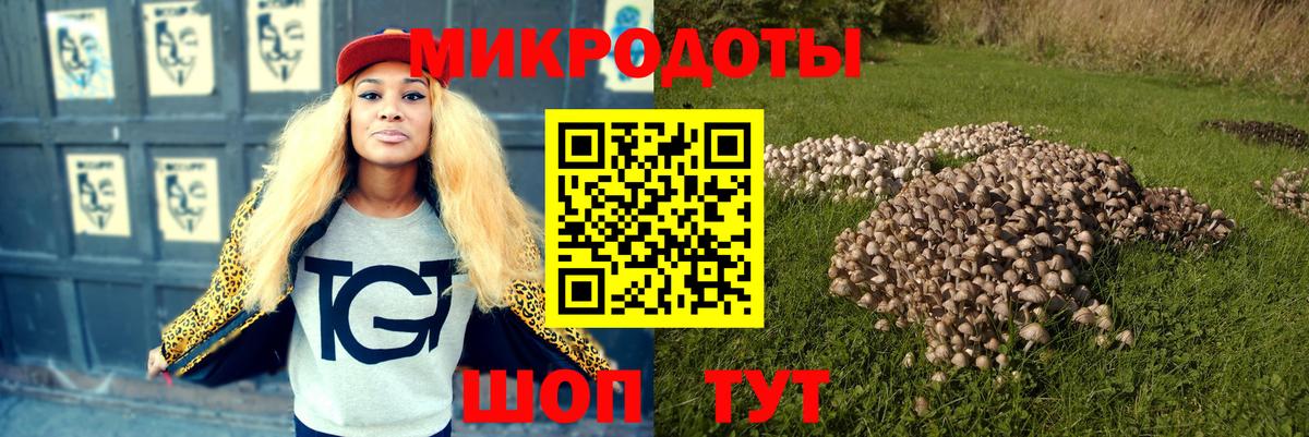 Псилоцибиновые грибы прущие грибы Кинешма