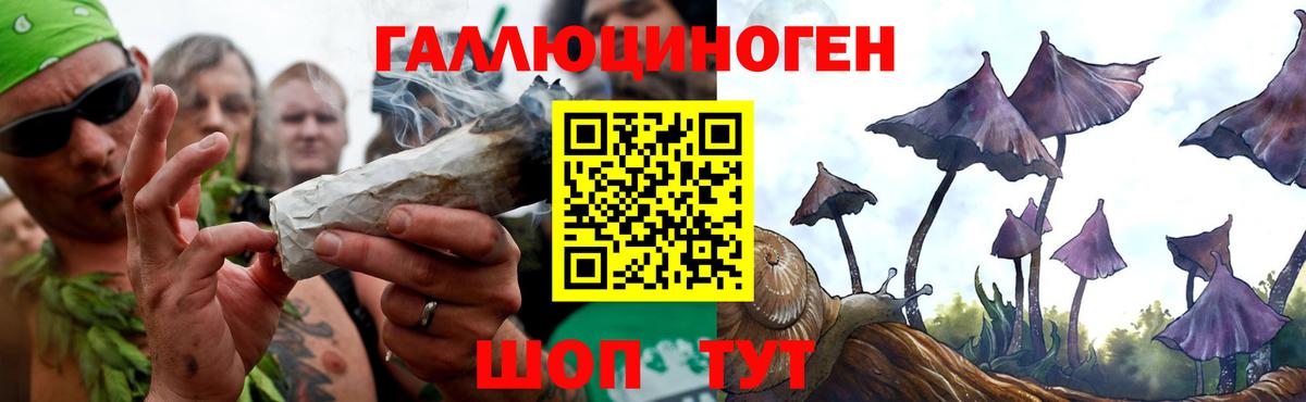 Кинешма  Галлюциногенные грибы ЛСД  Вход с VPN 